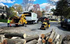 Best Landscape Design and Installation  in Franklinville, NJ